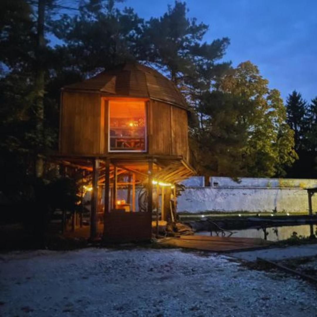 Nocleg W Koronach Drzew Kutno Exterior foto